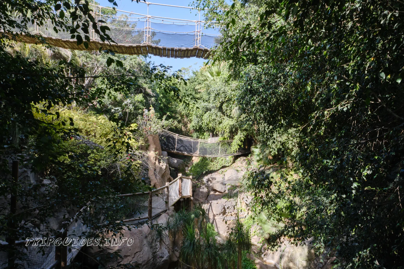 Парк Орлов (Jungle park) на Тенерифе - подвесные веревочные мосты