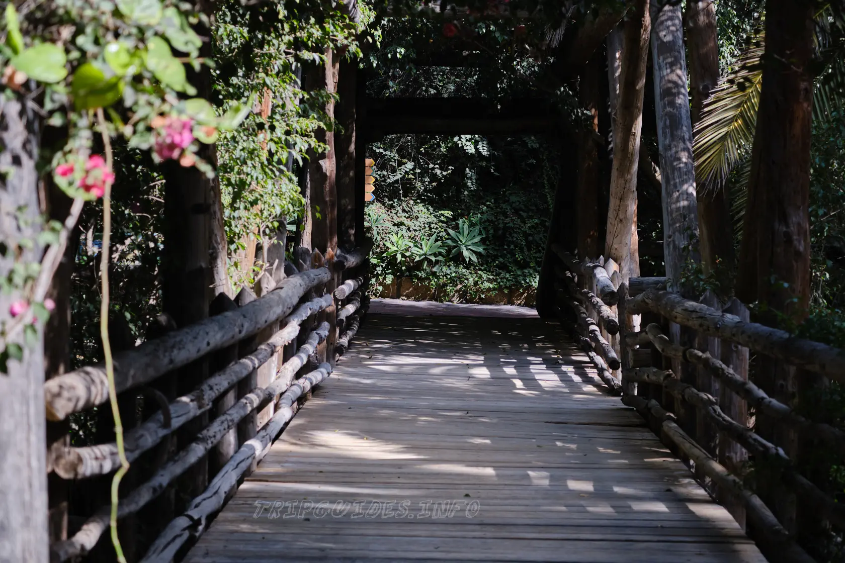Парк Орлов (Jungle park) на Тенерифе - деревянные мосты