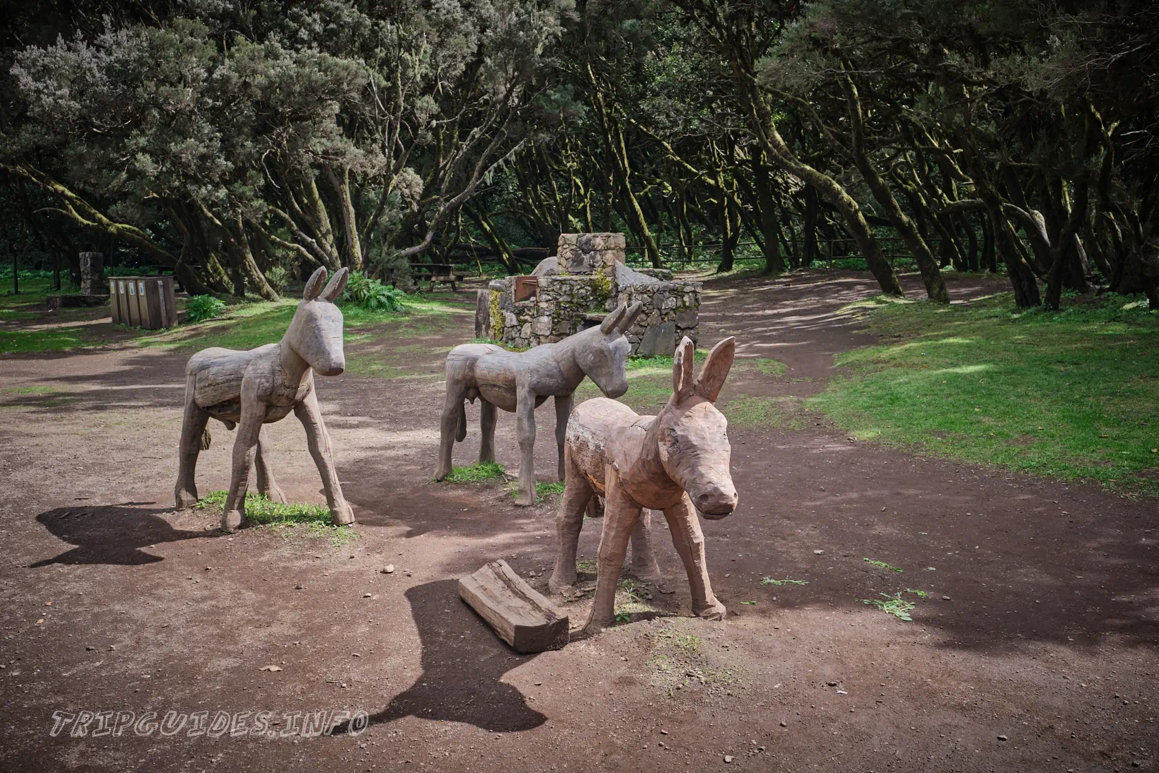 Скульптуры осликов в зоне отдыха Ла-Лагуна Гранде на острове Ла-Гомера