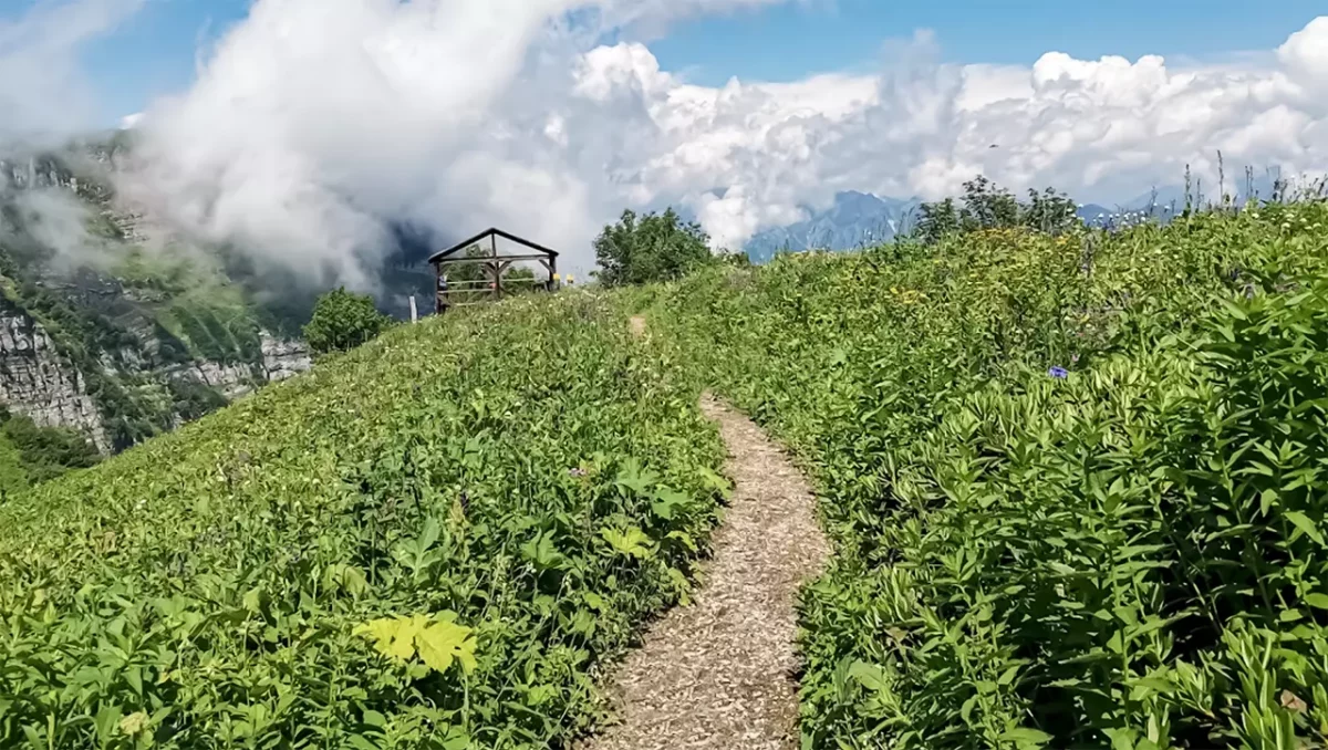 Смотровая площадка на экотропе «Альпийские луга» - Красная поляна (Сочи)