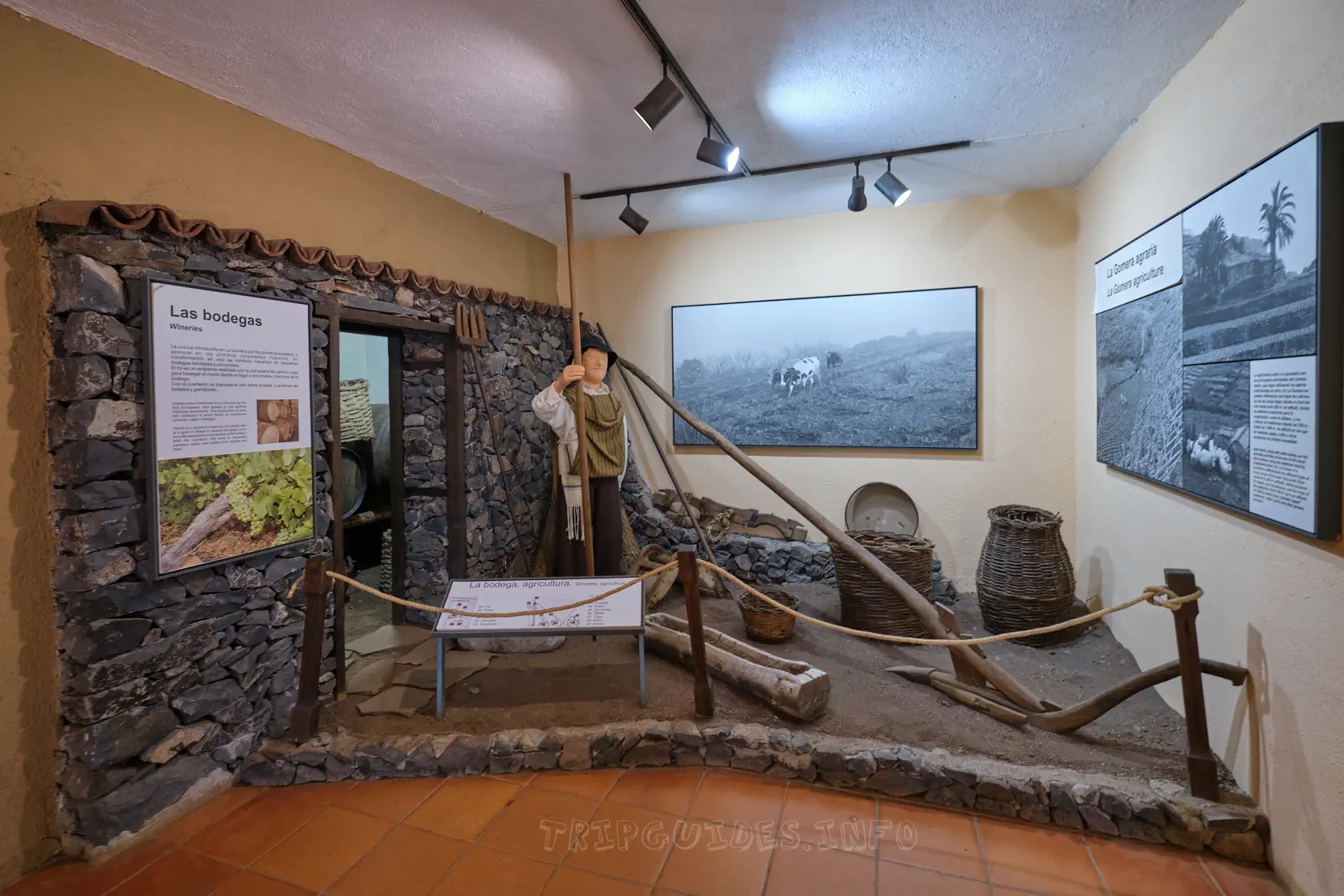 Экспозиция или музей в информационном центре Juego de Bolas (остров Ла-Гомера)