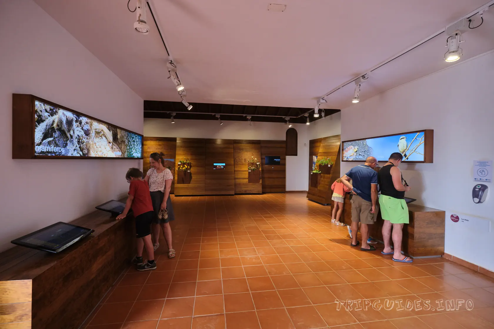 Экспозиция в музее козьего сыра Махореро (Museo del Queso Majorero) - Фуэртевентура