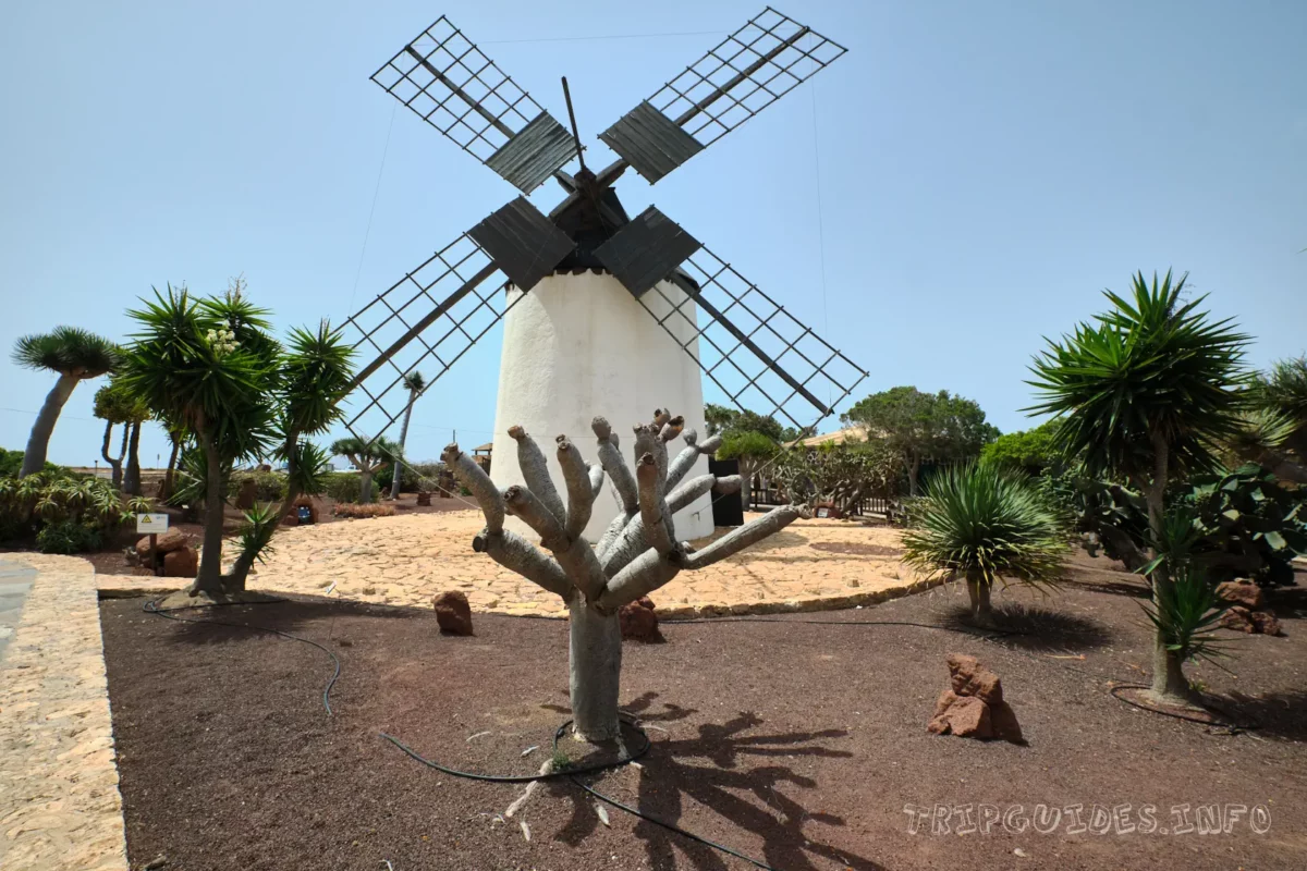 Старинная ветряная мельница (Molino de Antiguo) в музее козьего сыра Махореро - Фуэртевентура