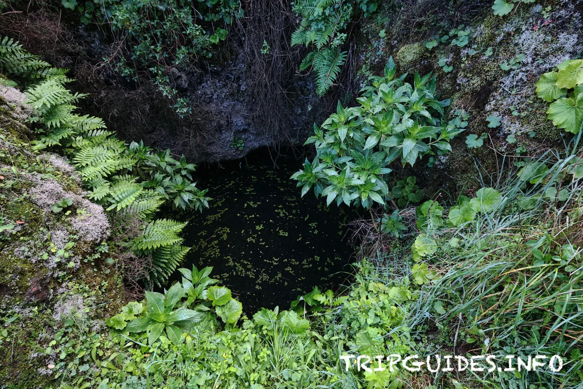 Водные накопительные колодцы у дерева Гарое на острове Эль-Иерро