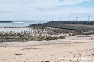 Коста Тегисе (Costa Teguise) - Лансароте