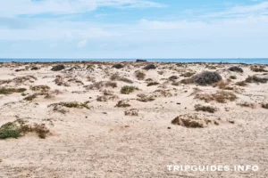 Коста Тегисе (Costa Teguise) - Лансароте