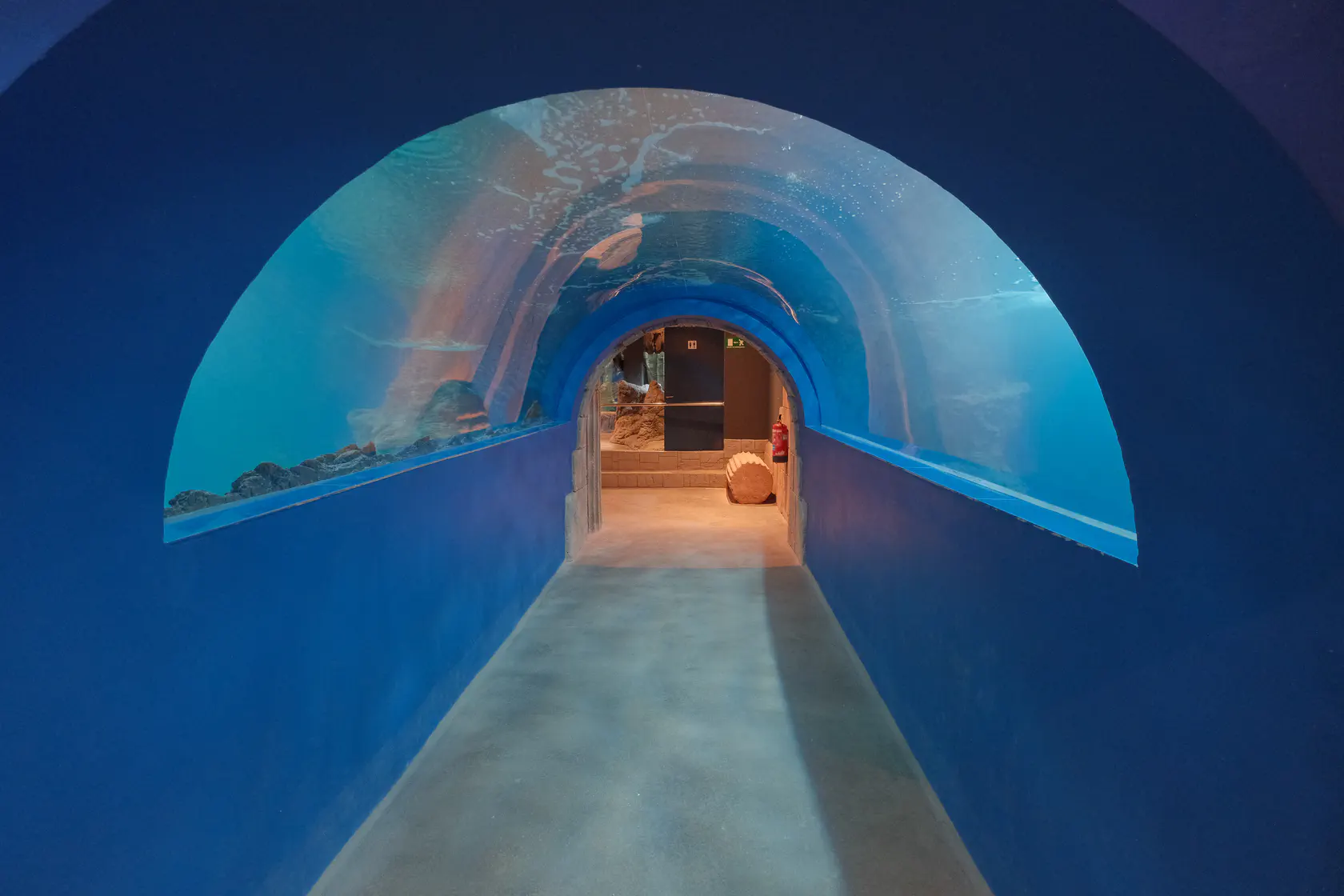 Аквариум в Коста Тегисе на Лансароте