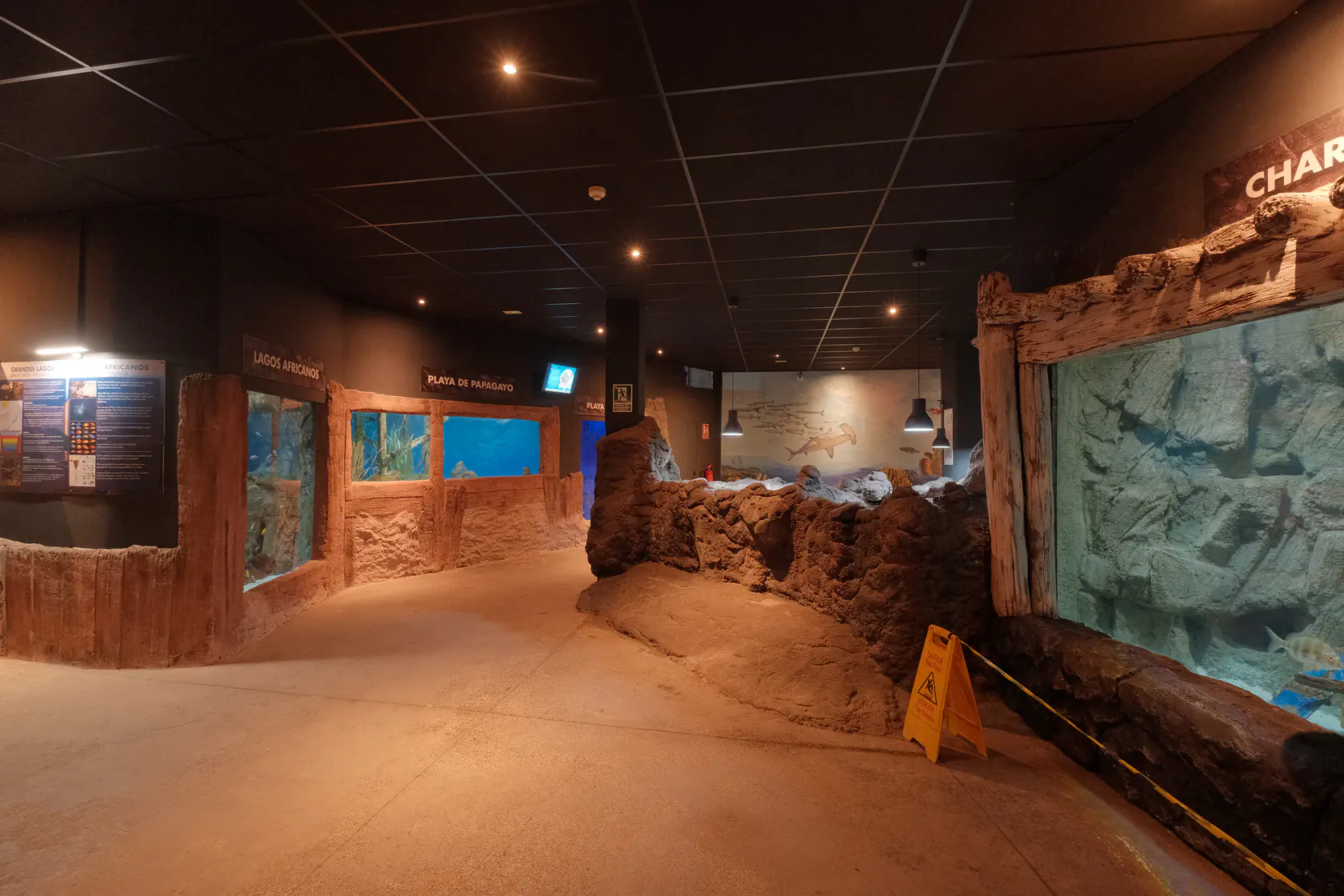 Аквариум в Коста Тегисе на Лансароте