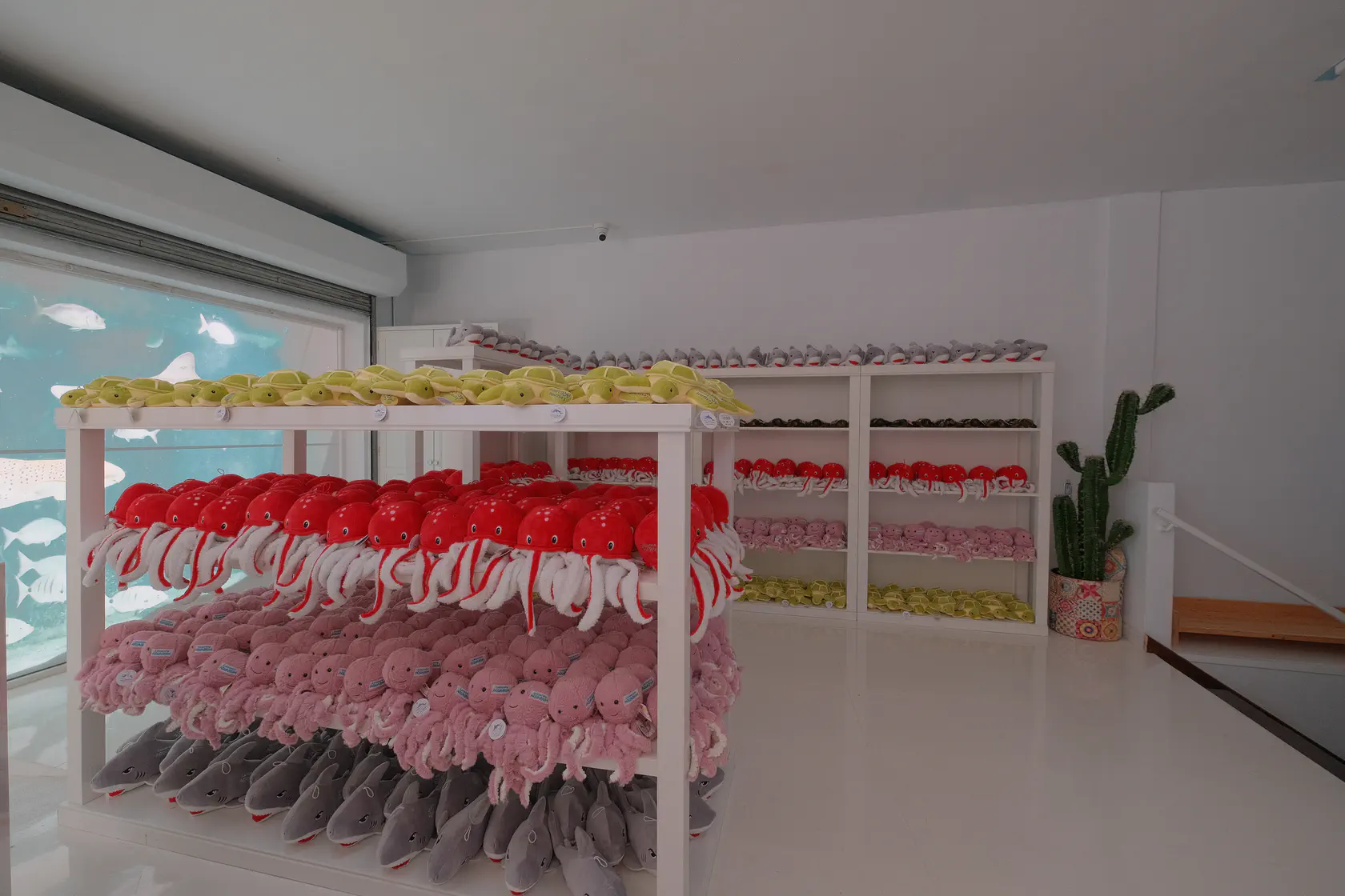 Аквариум в Коста Тегисе на Лансароте