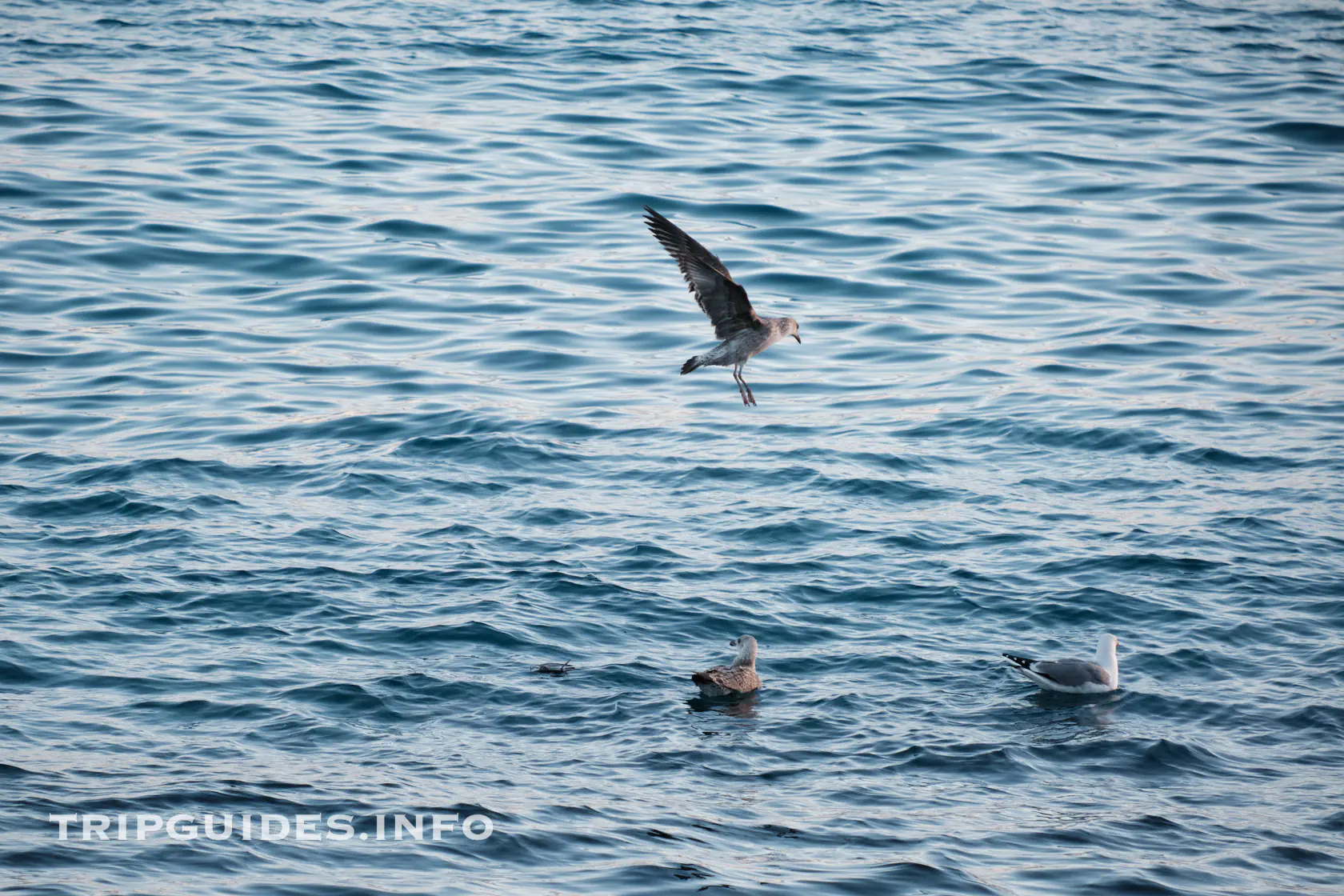 Пляж Плайя-Бланка (Playa Blanca) - Лансароте