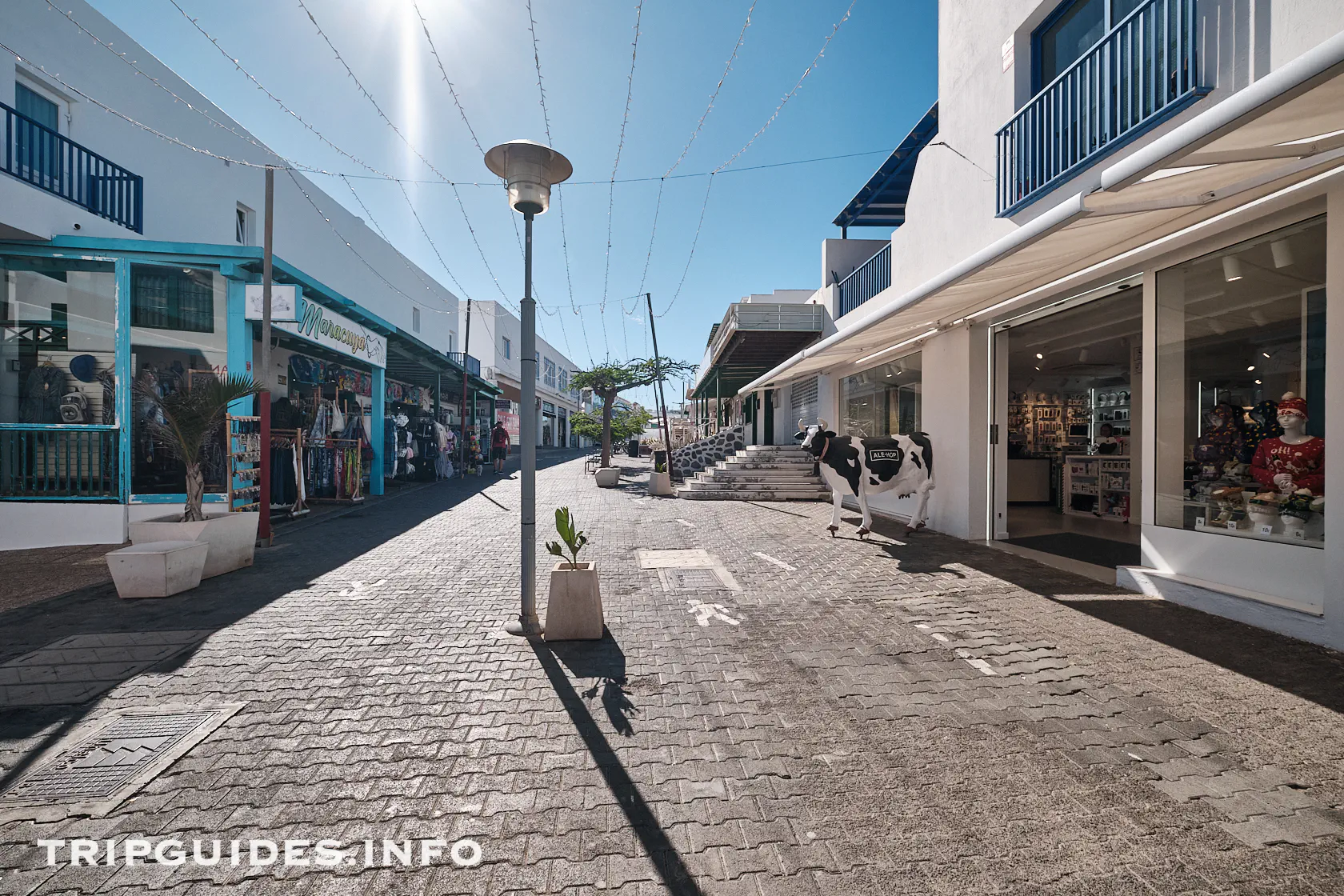 Calle Limones - Playa Blanca - Lanzarote