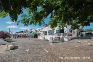 Calle Limones - Playa Blanca - Lanzarote