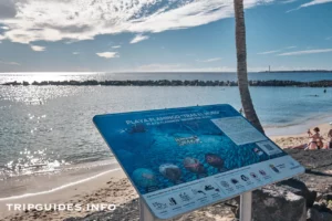 Пляж Фламинго (Playa Flamingo) на курорте Плайя-Бланка (Playa Blanca) - Лансароте