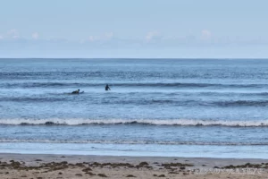 Фамара (пляж) - Playa de Famara - Лансароте