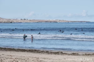 Фамара (пляж) - Playa de Famara - Лансароте