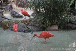 Ранчо Техас Парк на Лансароте (Rancho Texas Lanzarote Park)