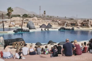 Ранчо Техас Парк на Лансароте (Rancho Texas Lanzarote Park)