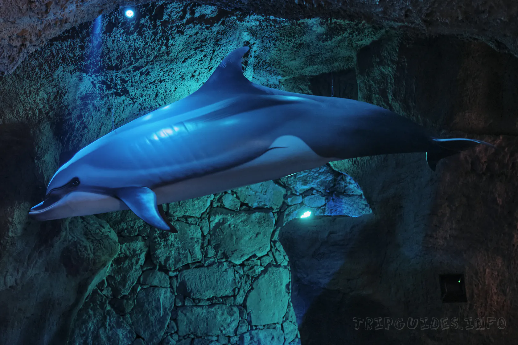 Ранчо Техас Парк на Лансароте (Rancho Texas Lanzarote Park)