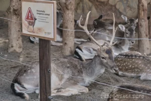 Ранчо Техас Парк на Лансароте (Rancho Texas Lanzarote Park)