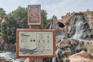 Ранчо Техас Парк на Лансароте (Rancho Texas Lanzarote Park)