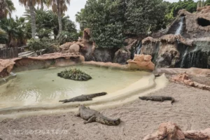 Ранчо Техас Парк на Лансароте (Rancho Texas Lanzarote Park)