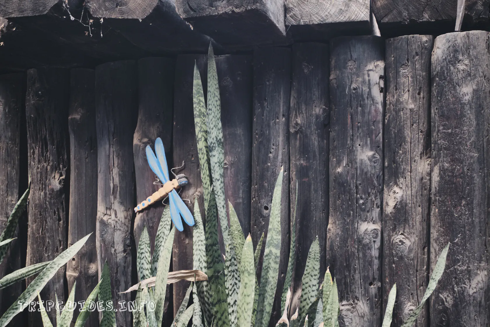 Ранчо Техас Парк на Лансароте (Rancho Texas Lanzarote Park)