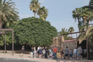 Ранчо Техас Парк на Лансароте (Rancho Texas Lanzarote Park)