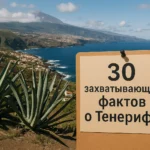 30 захватывающих фактов о Тенерифе