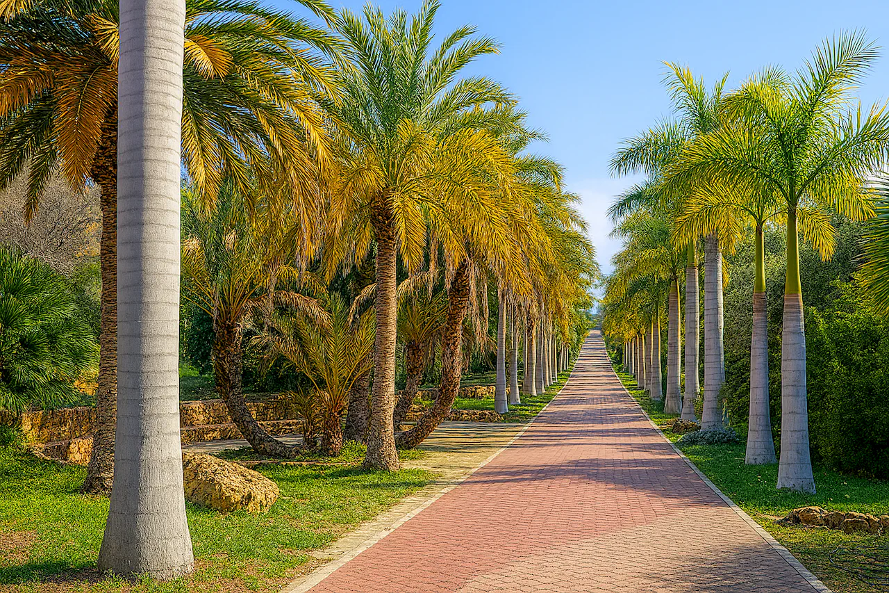 Jardín Botánico Histórico La Concepción в Малаге