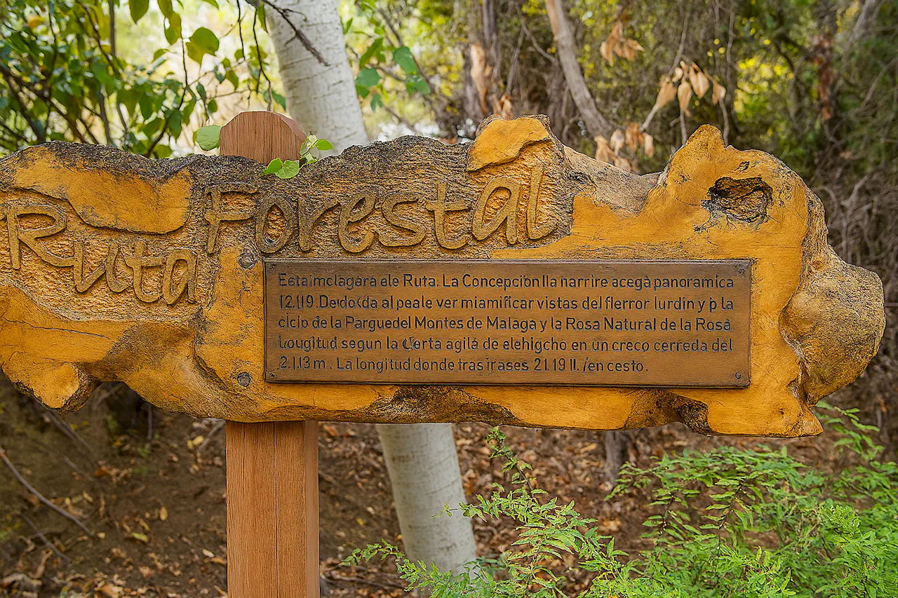 Лесная тропа (Ruta Forestal) - Jardín Botánico Histórico La Concepción в Малаге