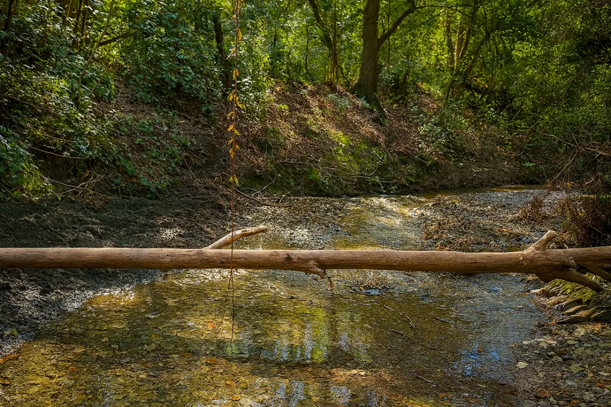 Долина Риерада - Природный парк Серра-де-Кольсерола (Parque Natural de Collserola - Barcelona) в Барселоне