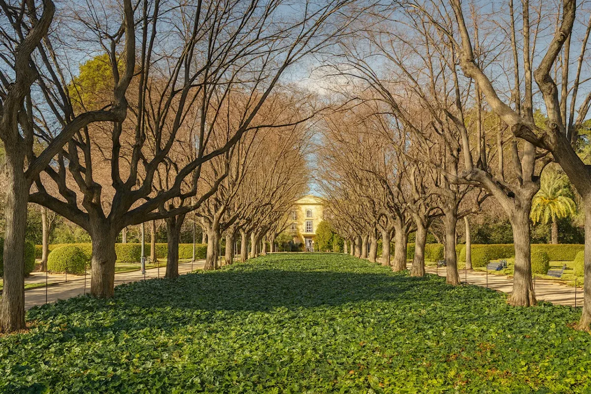 Сады дворца Педральбес (Jardines del Palacio de Pedralbes) в Барселоне