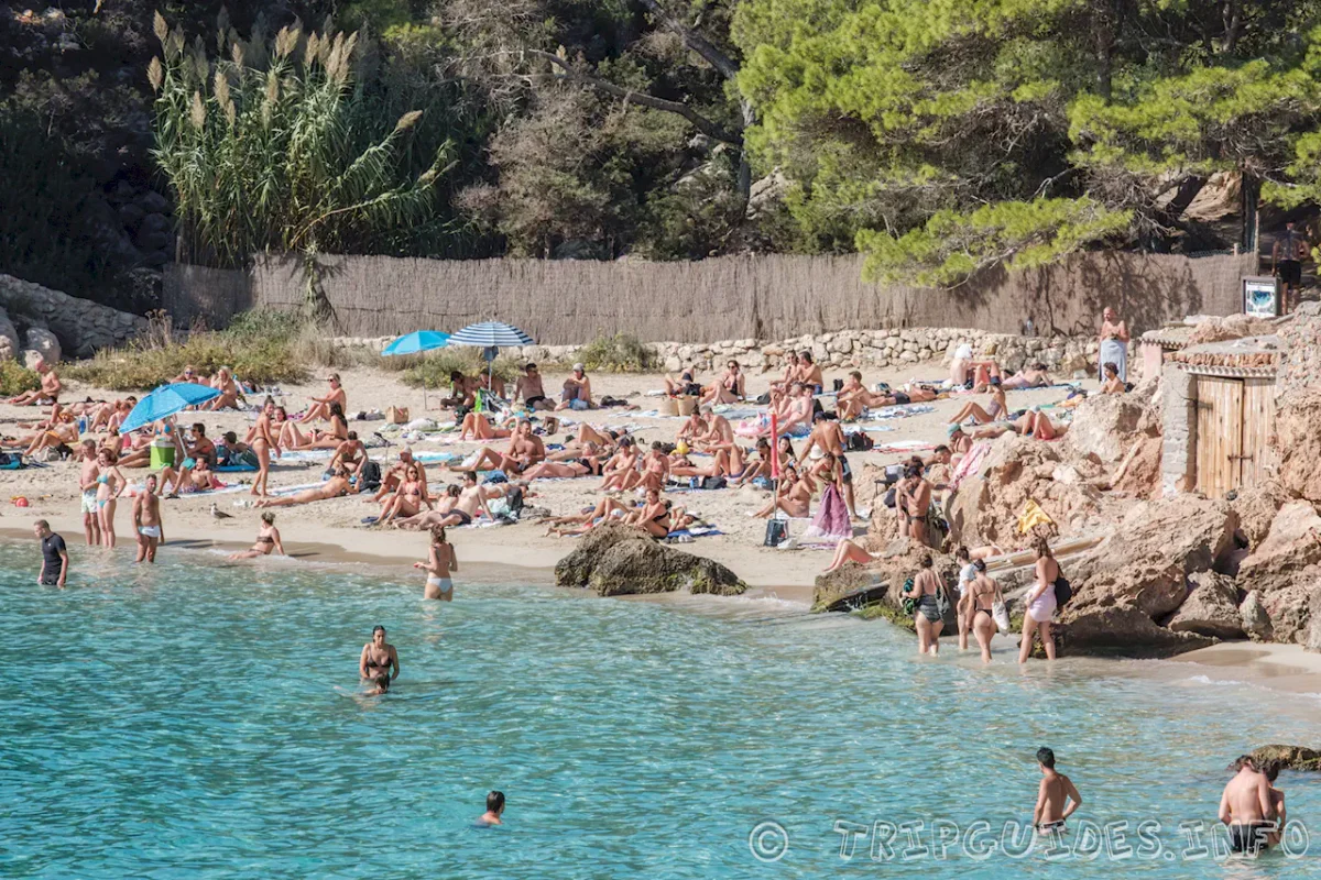 Пляж - Кала Саладета (Cala Saladeta) - Ибица (Испания)