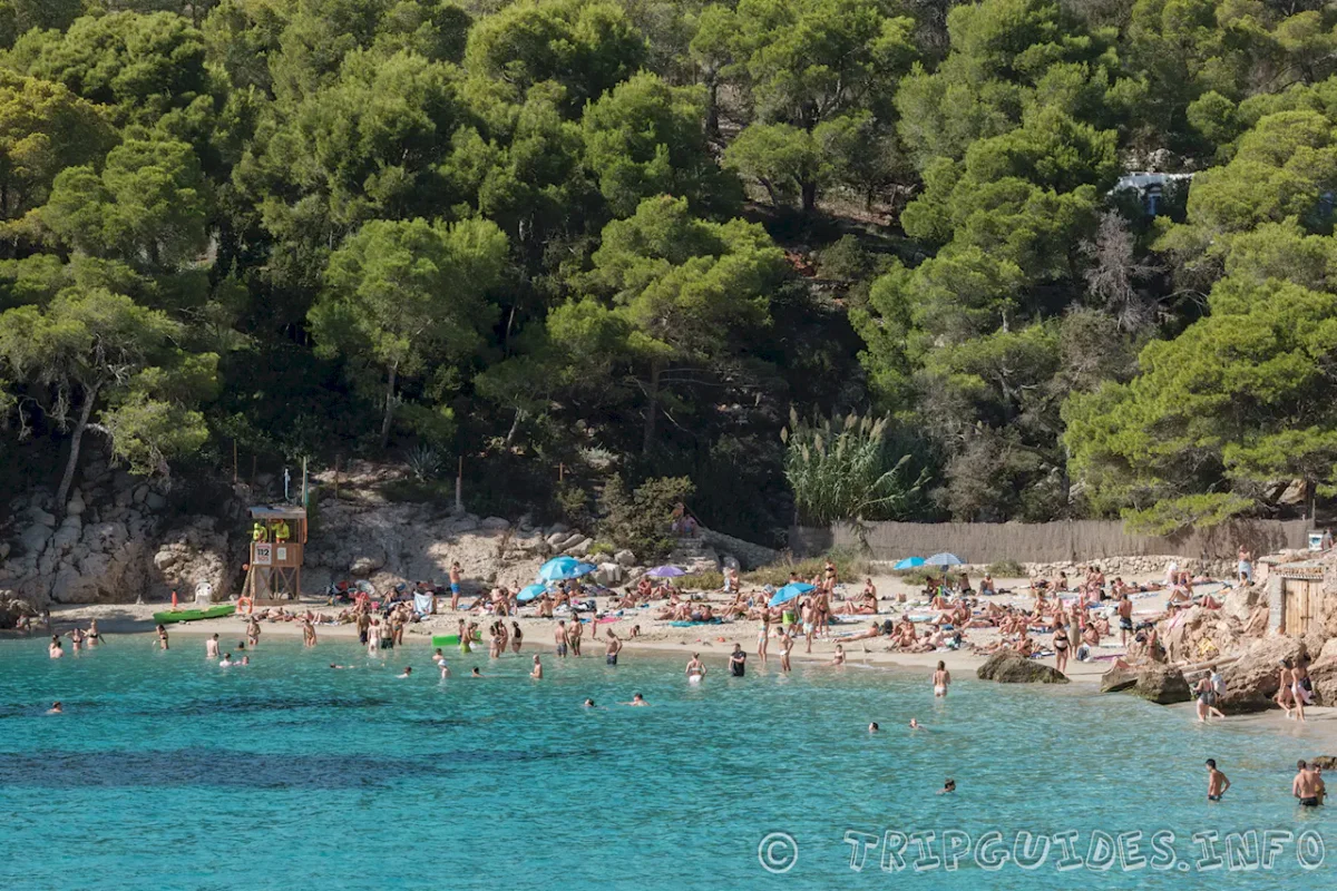 Пляж - Кала Саладета (Cala Saladeta) - Ибица (Испания)